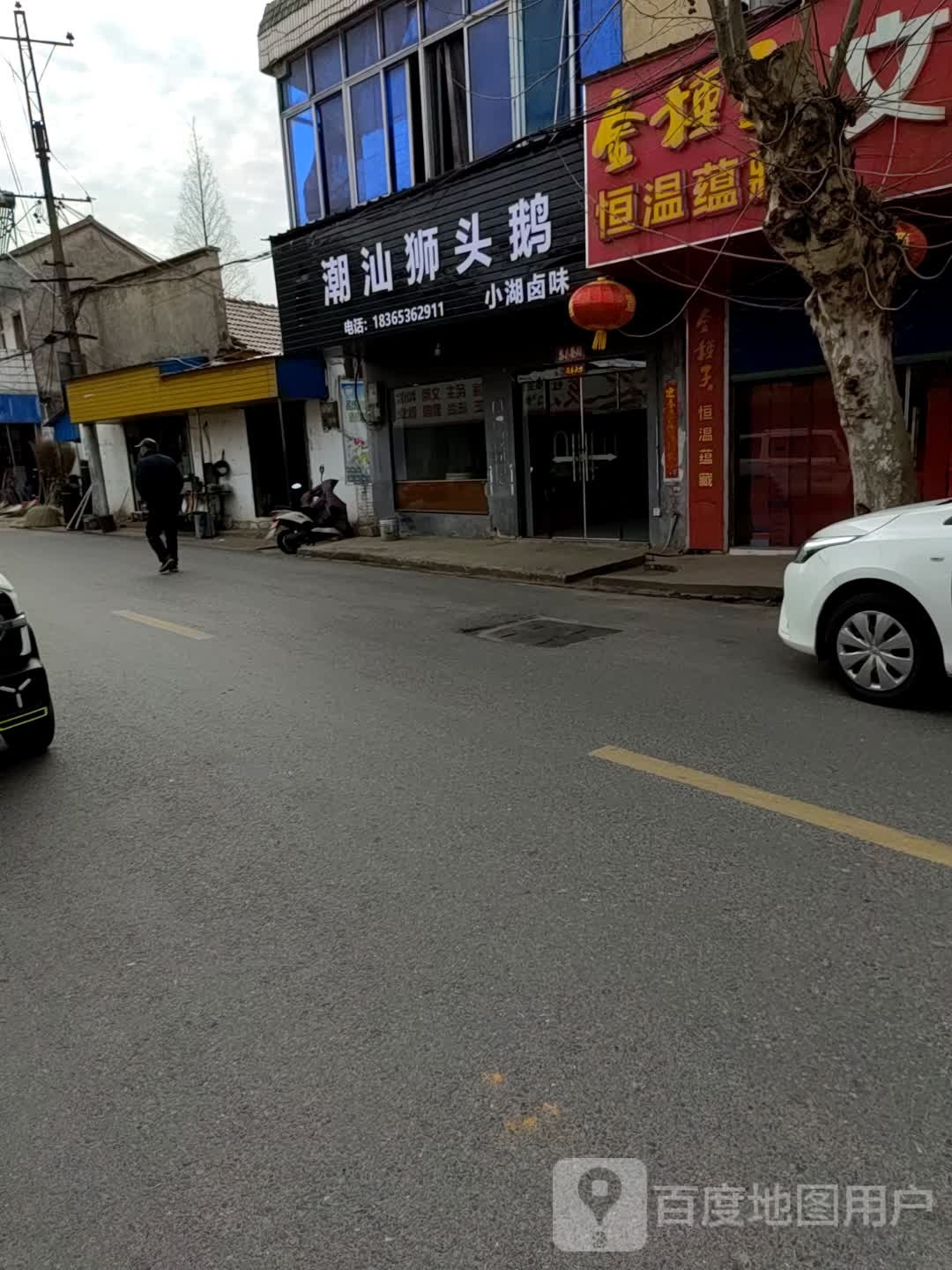 潮汕狮头鹅