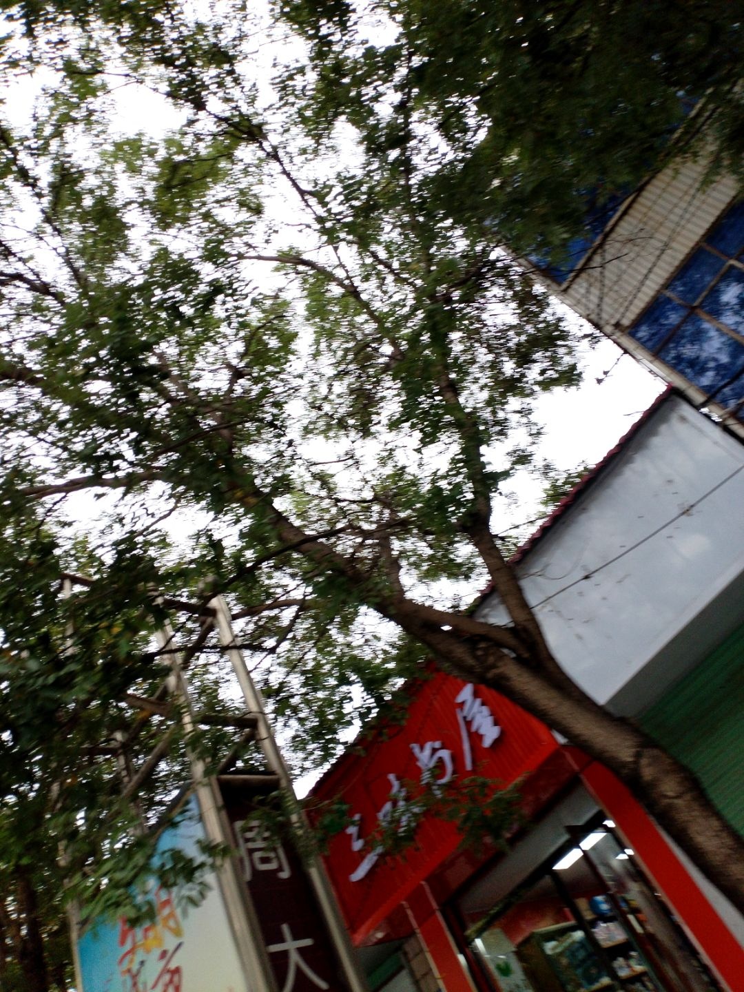 三味书屋(新治街店)