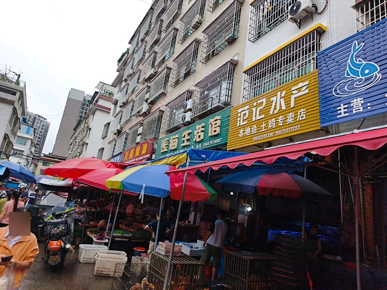 范记水产