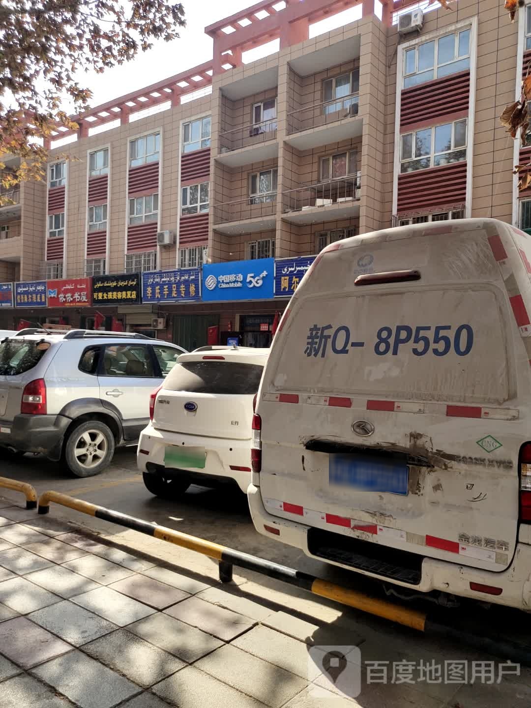李氏手足专修