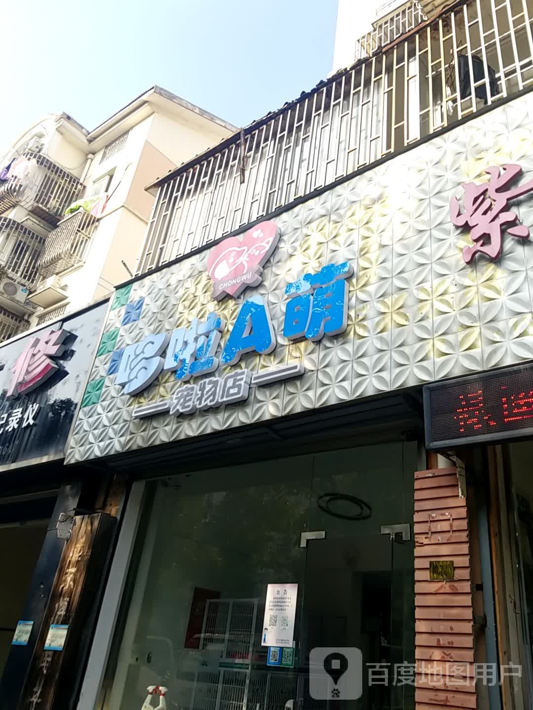 哆啦A萌宠物店