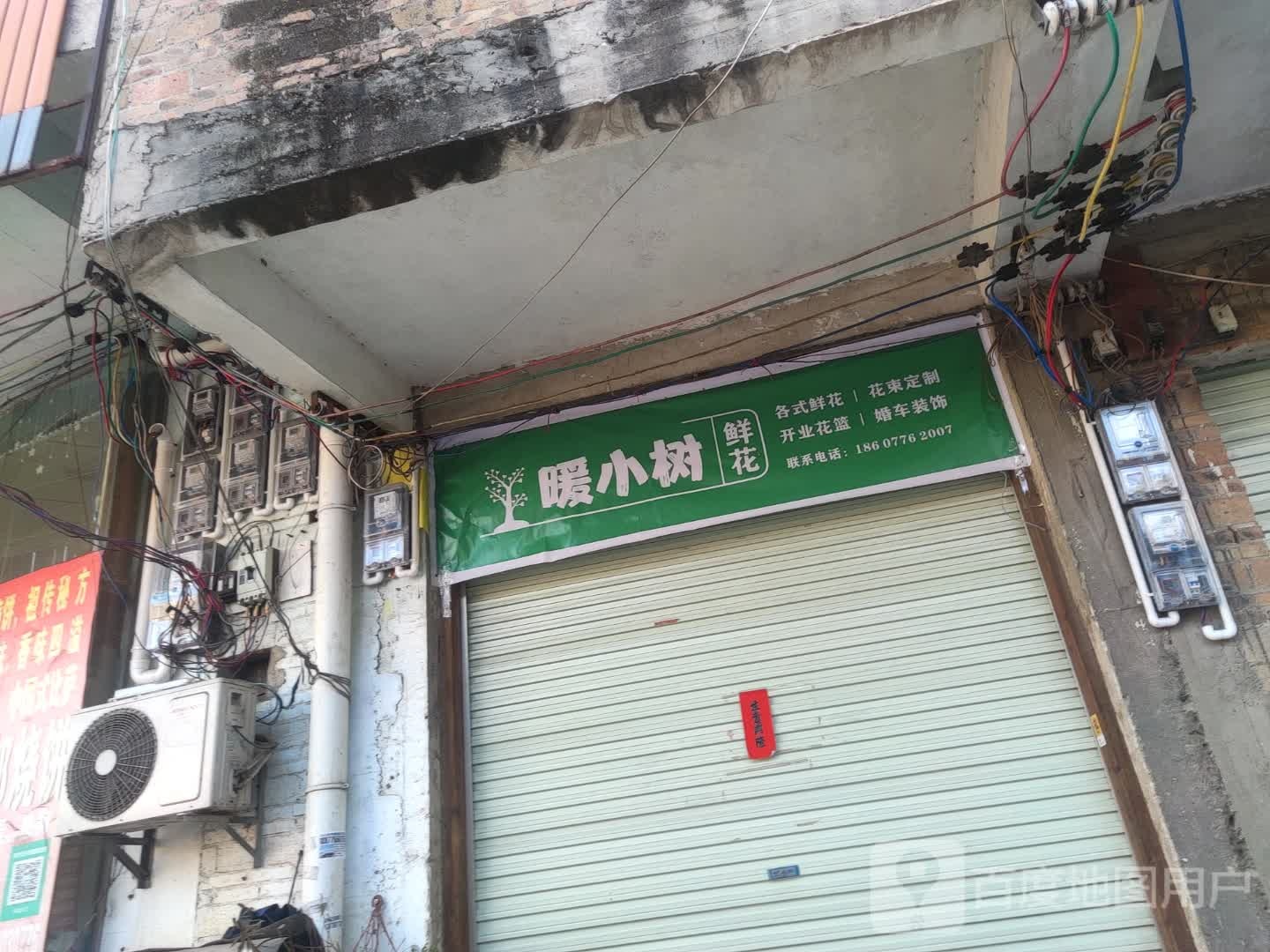 暖小树鲜花