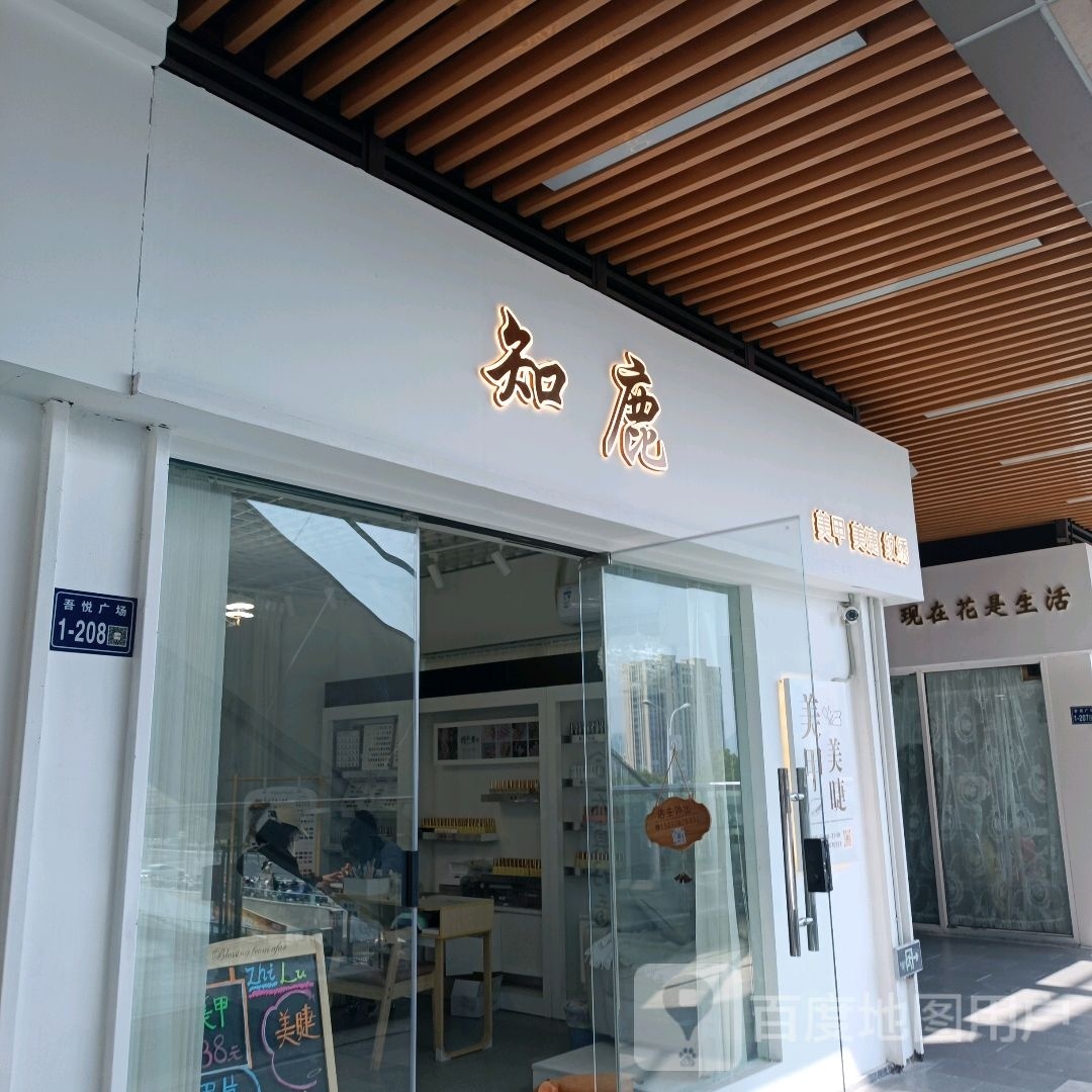知鹿