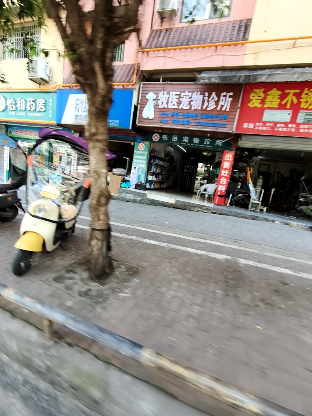 牧医宠物诊所