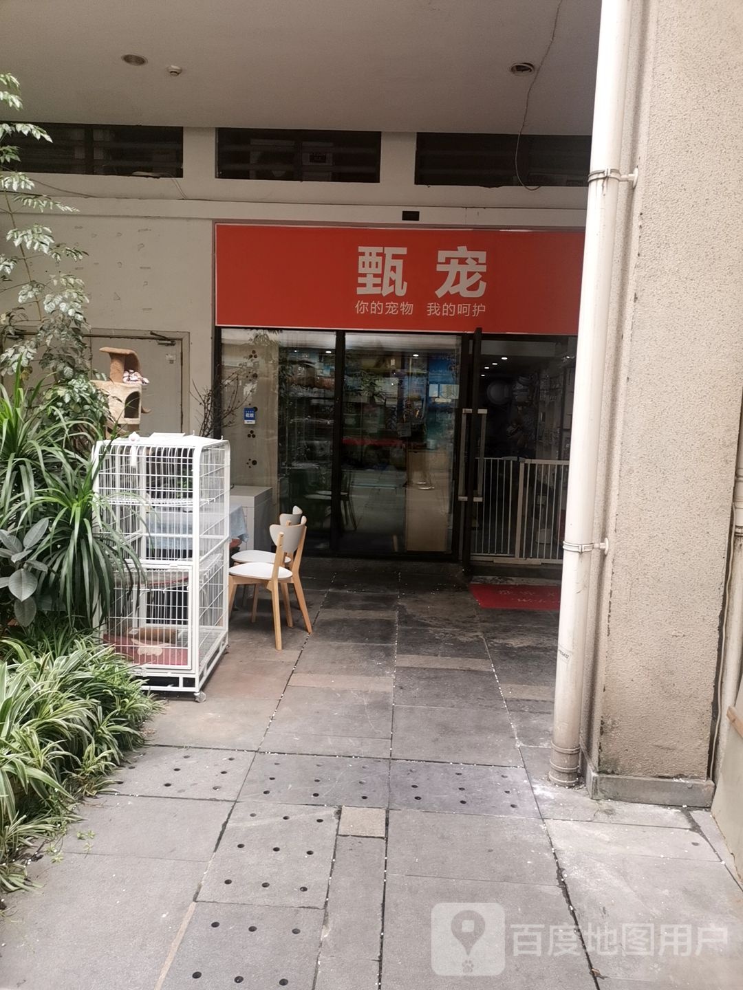 甄宠宠物店