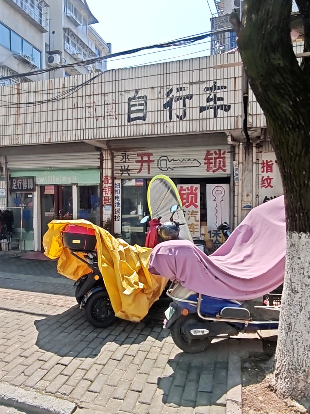 凤凰自行车(西江路店)