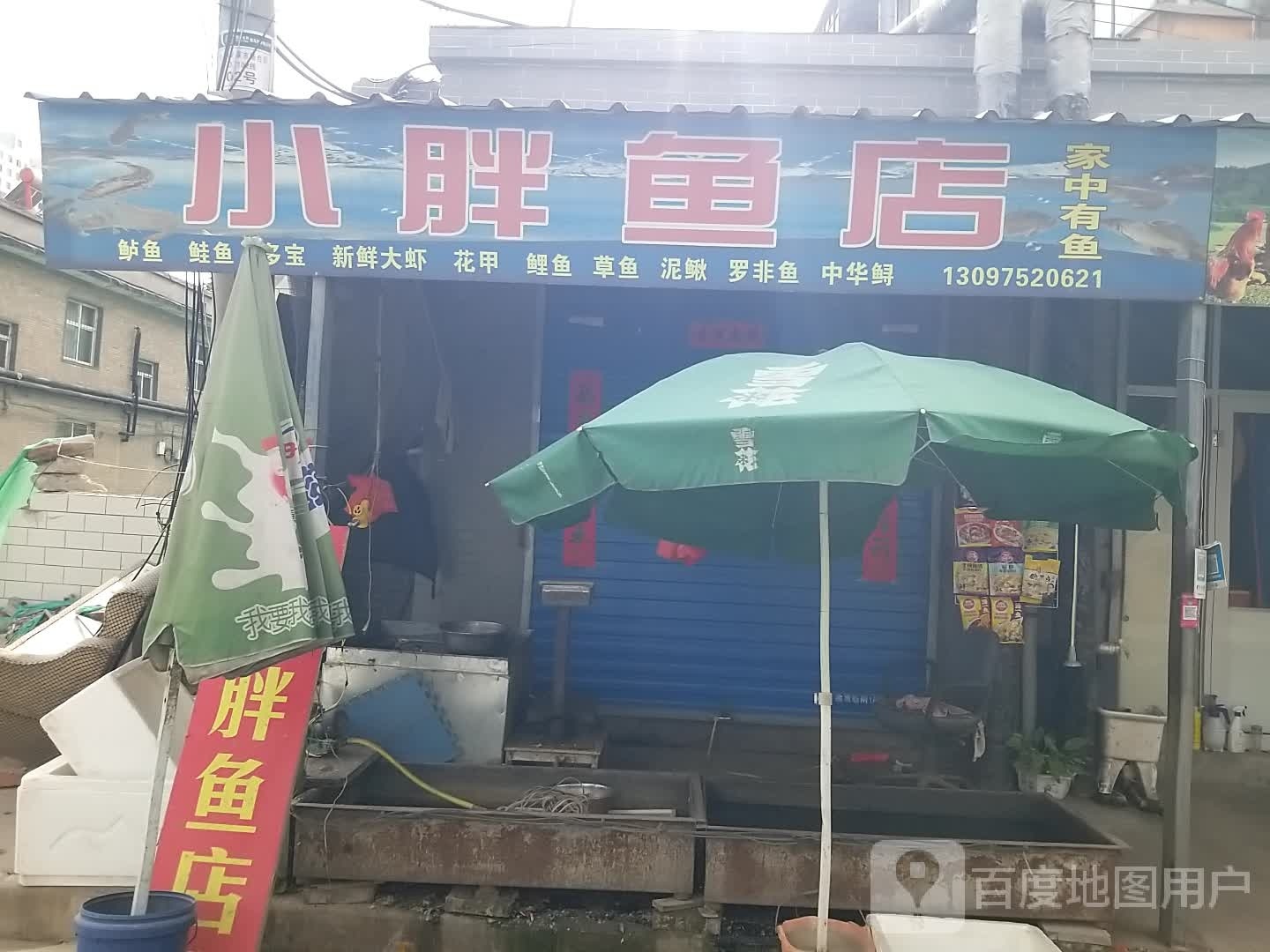 小胖鱼店
