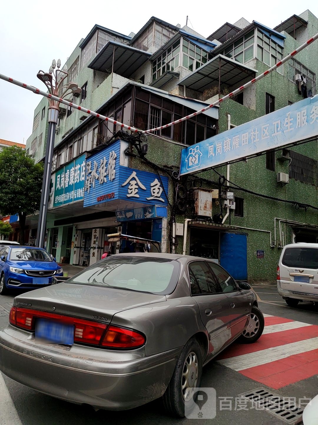 汪洋水族(祥新东路店)