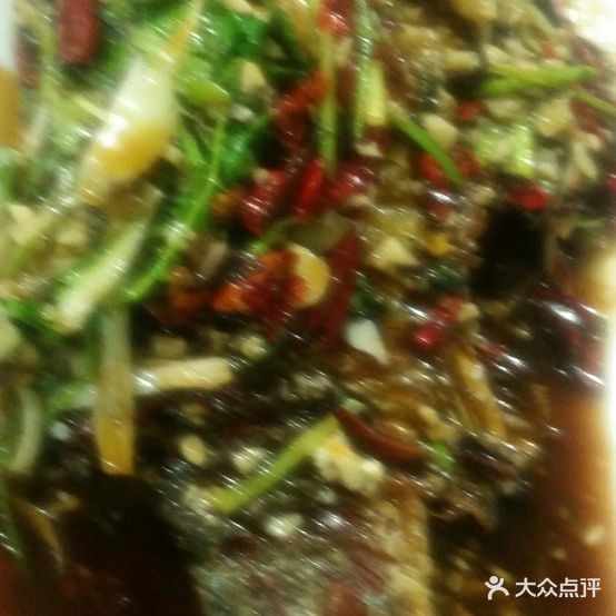 老太太烧烤(园明路店)