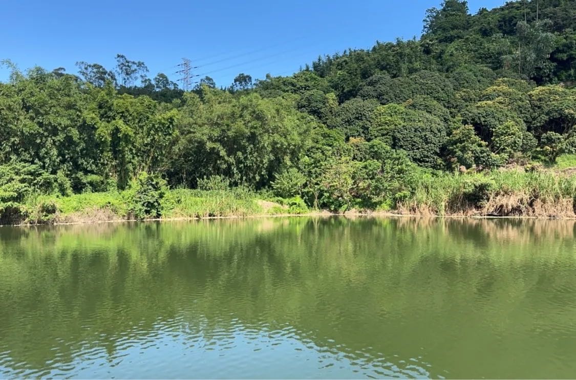 山水鱼塘(垂钓园)