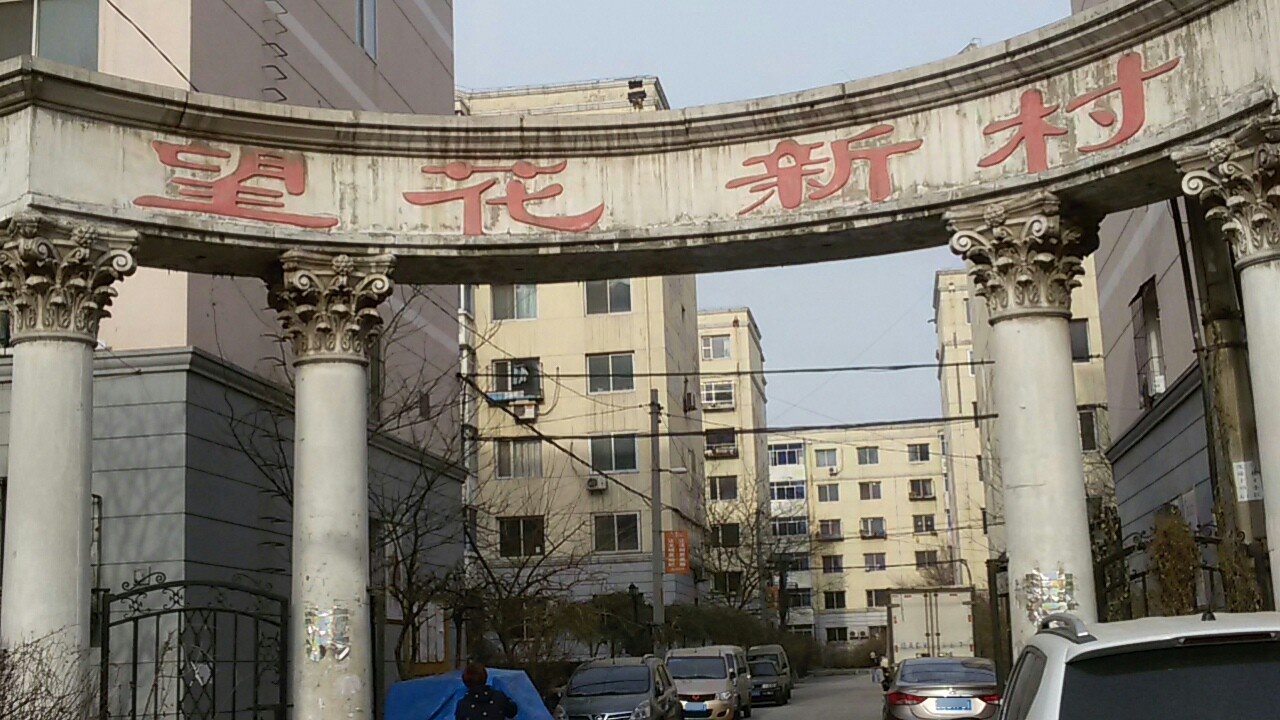 沈阳市大东区北大营街望花新村