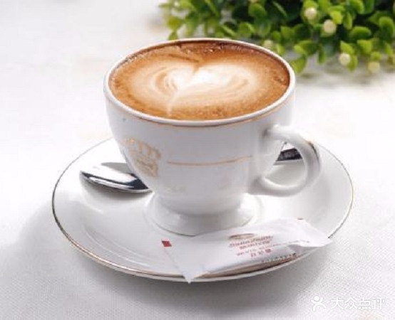 半壶贡茶