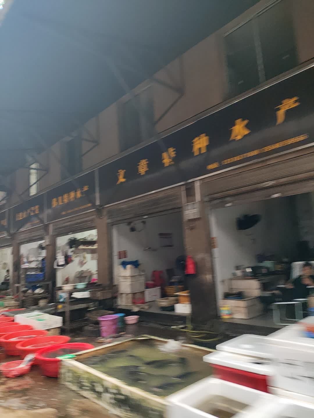 大建水产批发