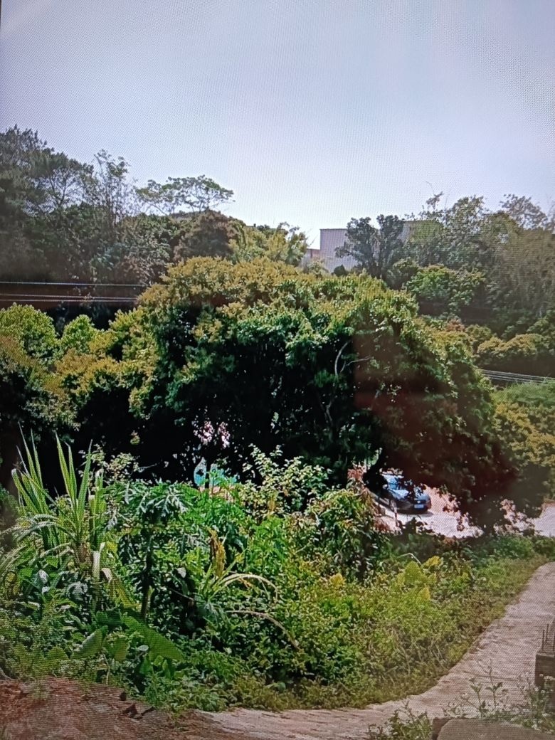 围州村篮球场