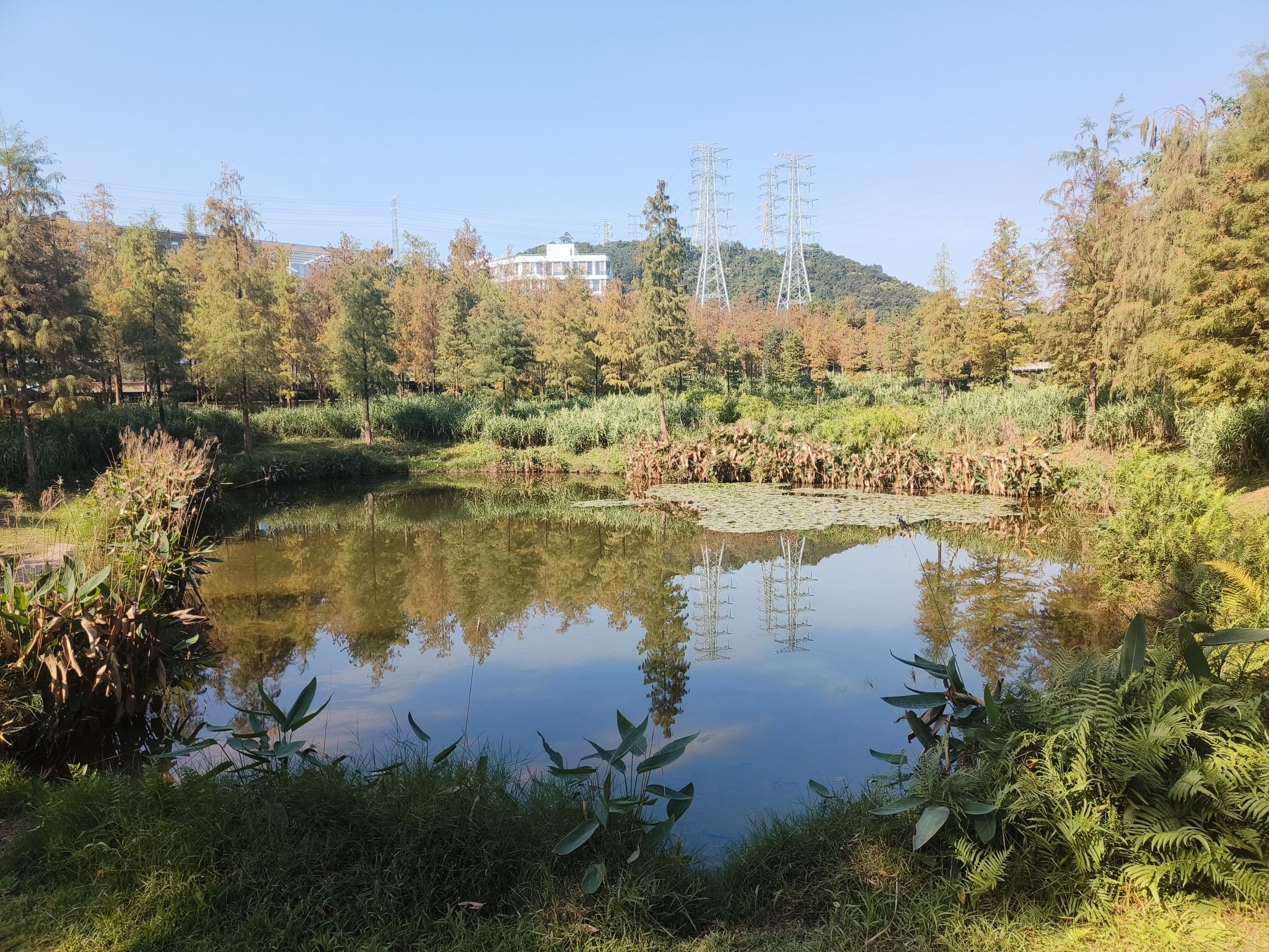 天河大观湿地公园