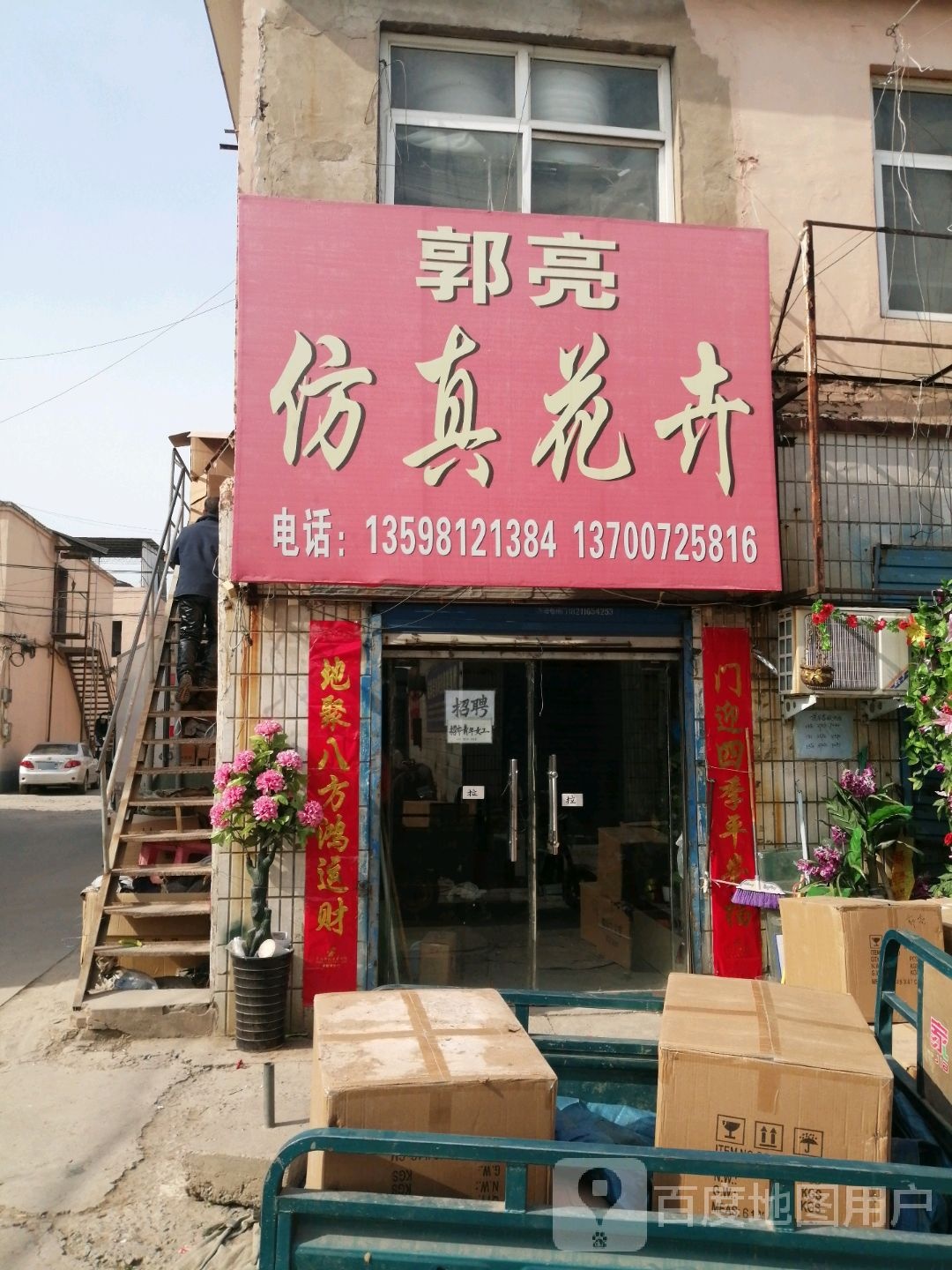 郭亮仿真花卉