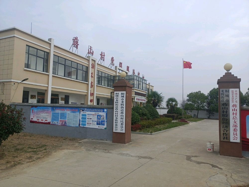 桐城市龙腾街道蒋山村民委员会