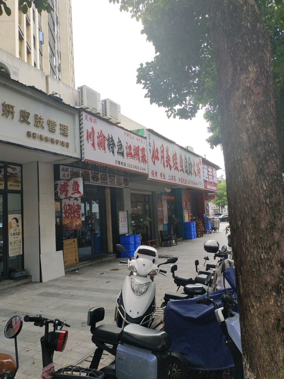 如月美蛙鱼自助火锅