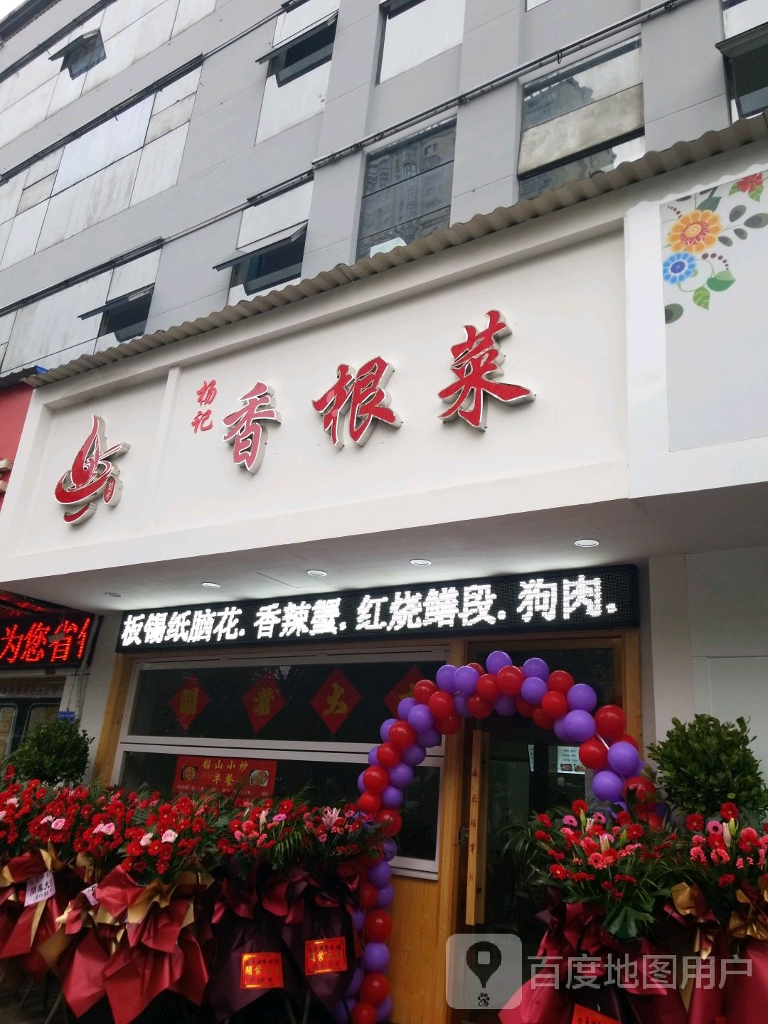 扬记香根菜