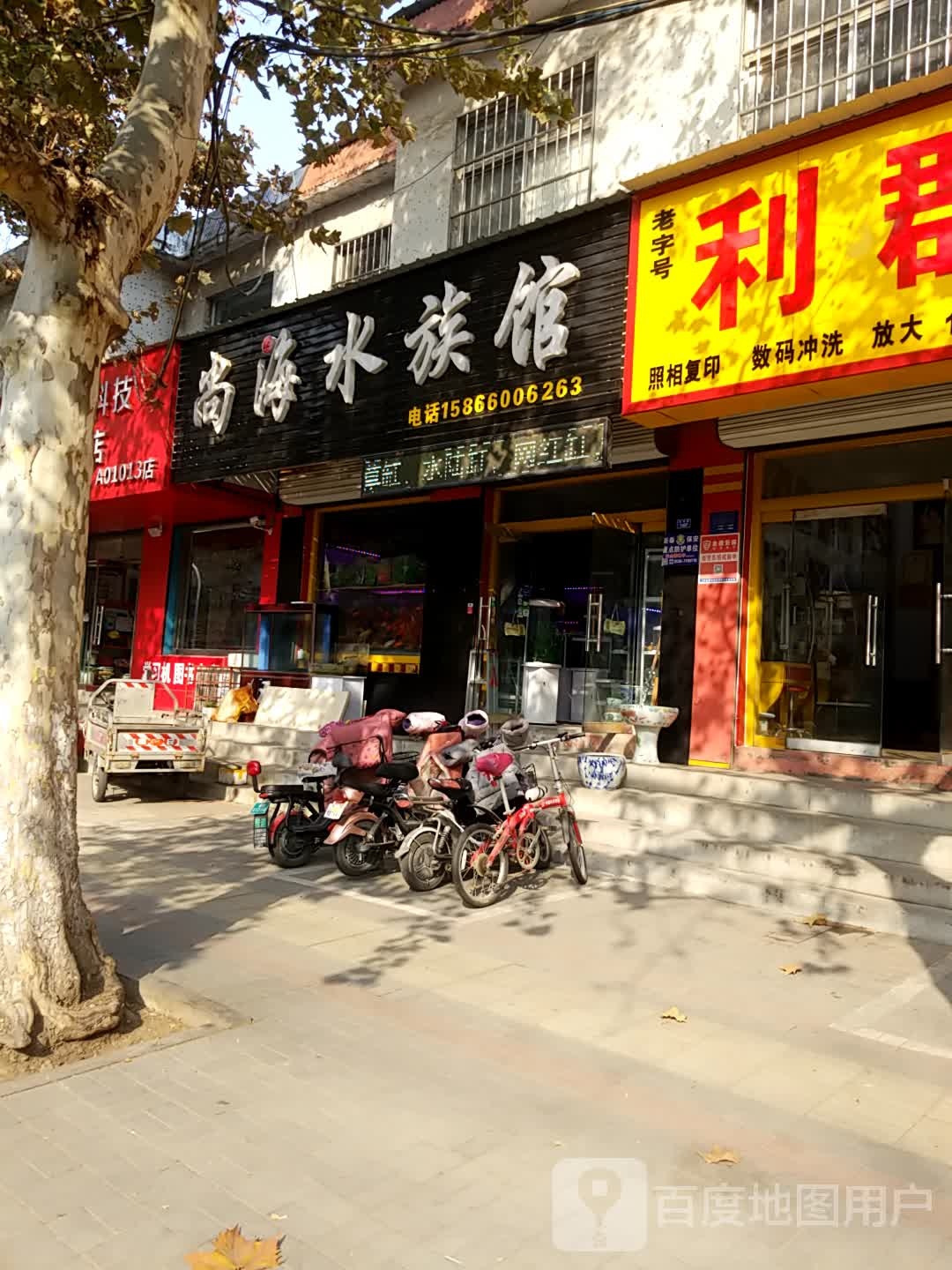尚海水族馆