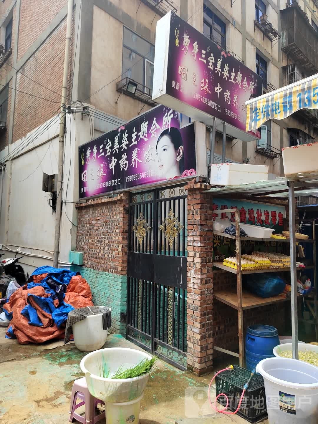 秀身三宝美资主题会所