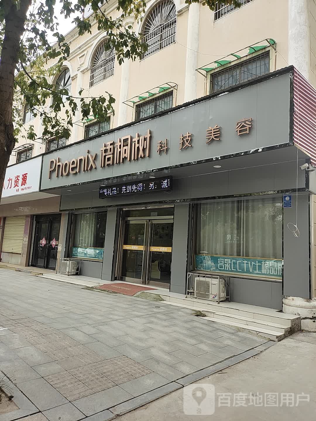 梧桐树科技内容