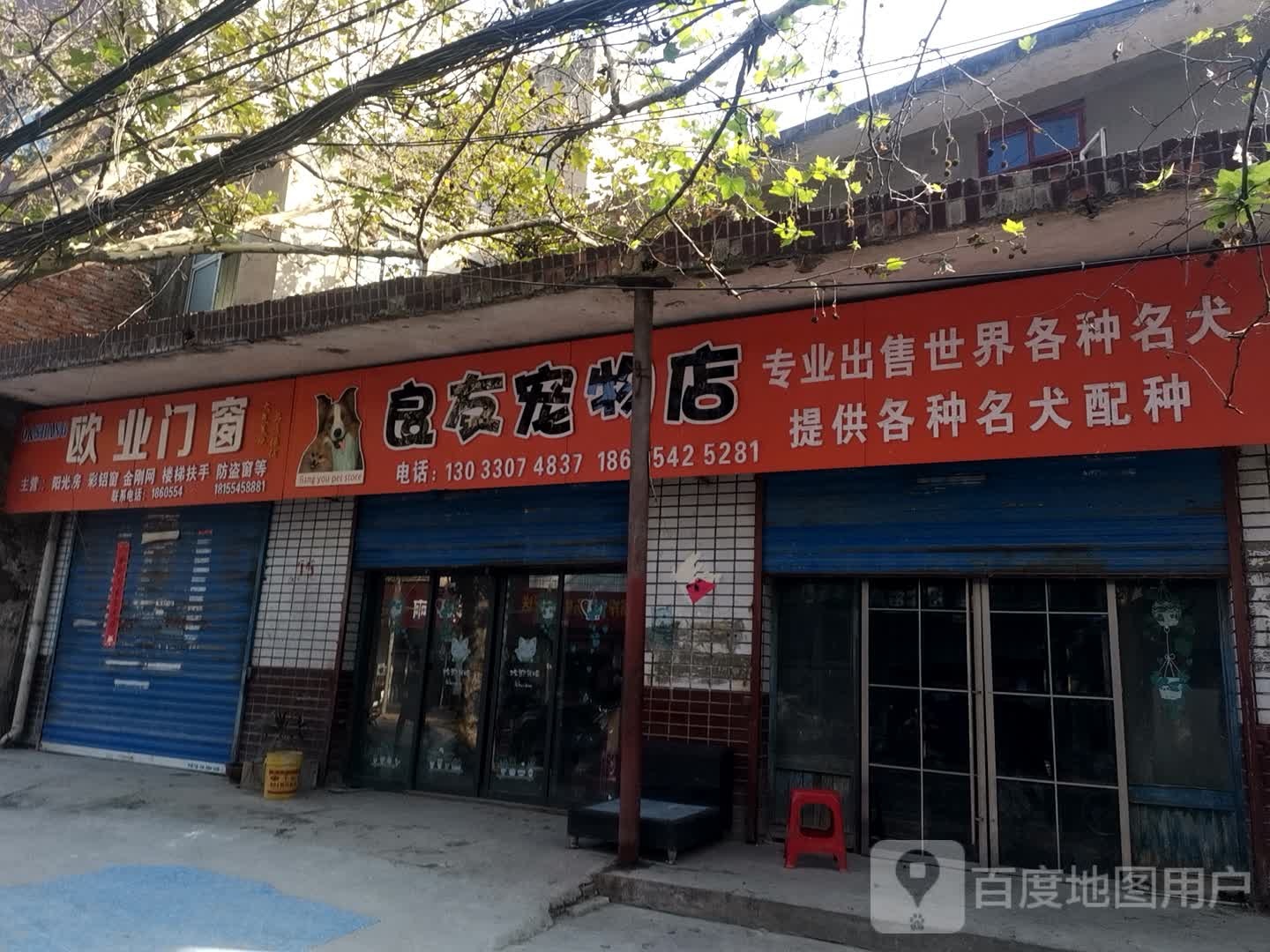 良友宠物店