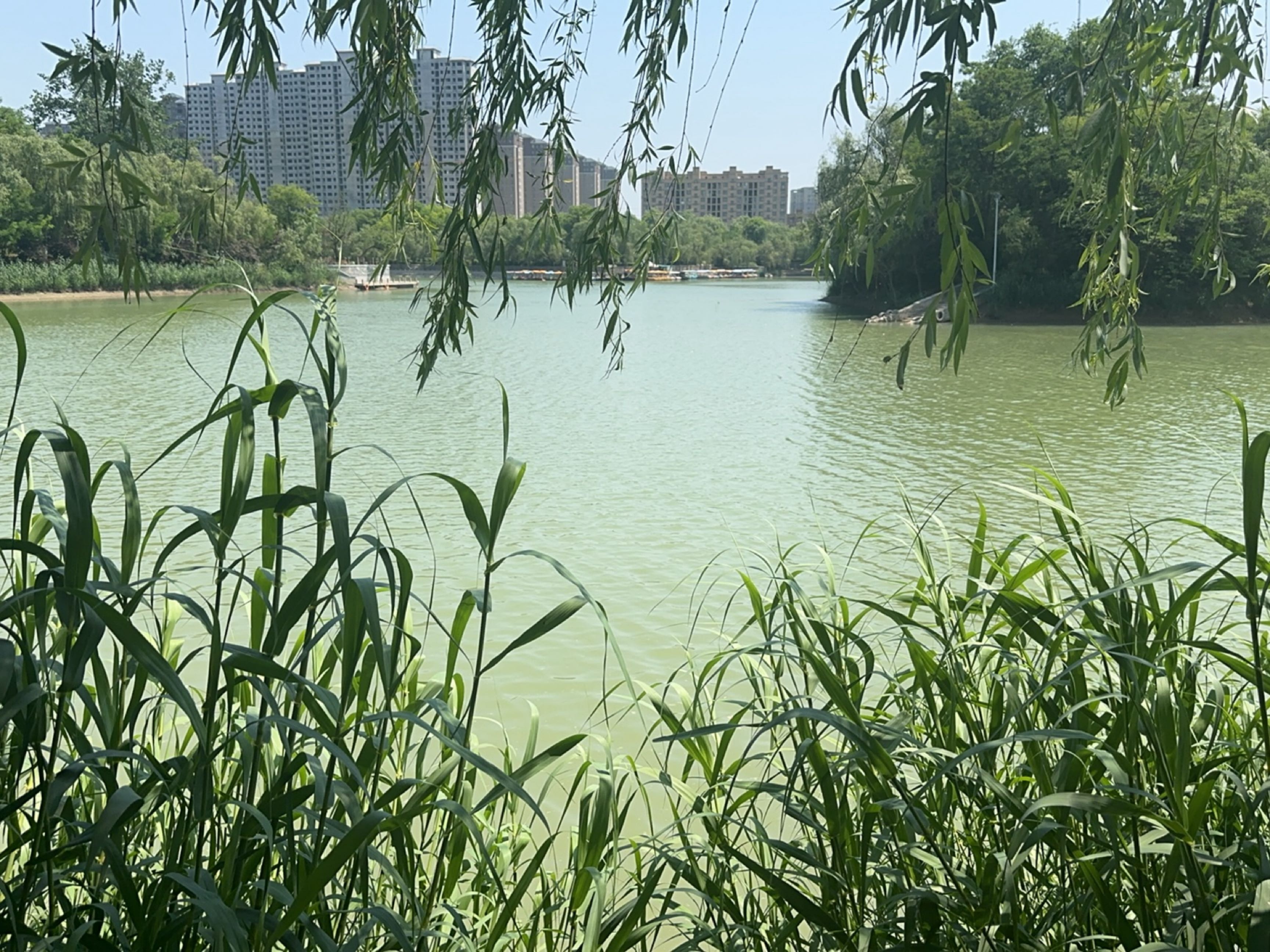 槐香湖