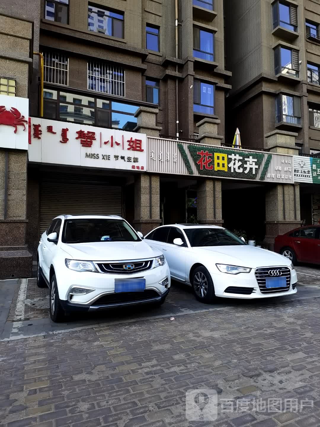 绿植花店租摆软装设计(绿地店)