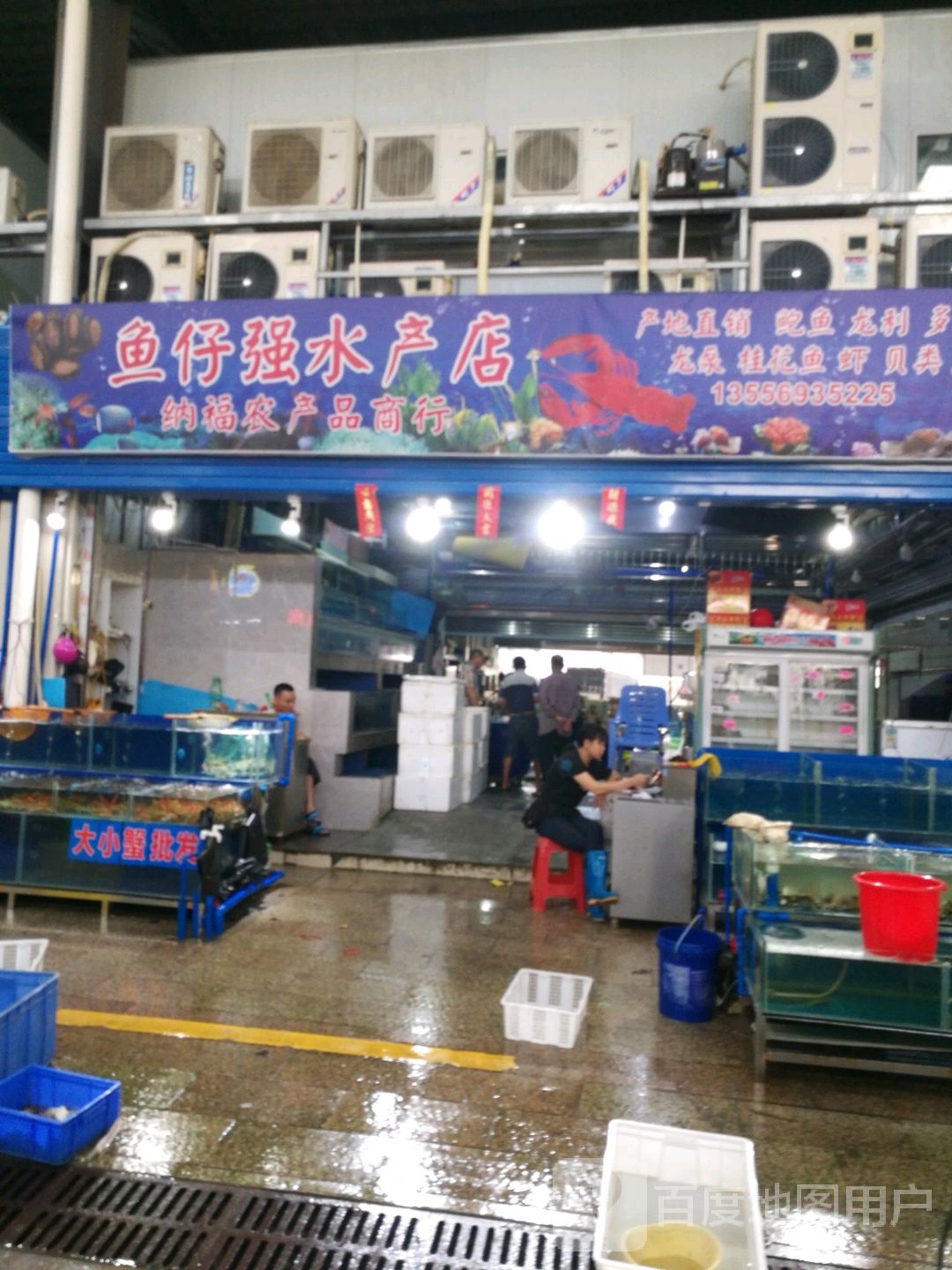鱼仔强水产店