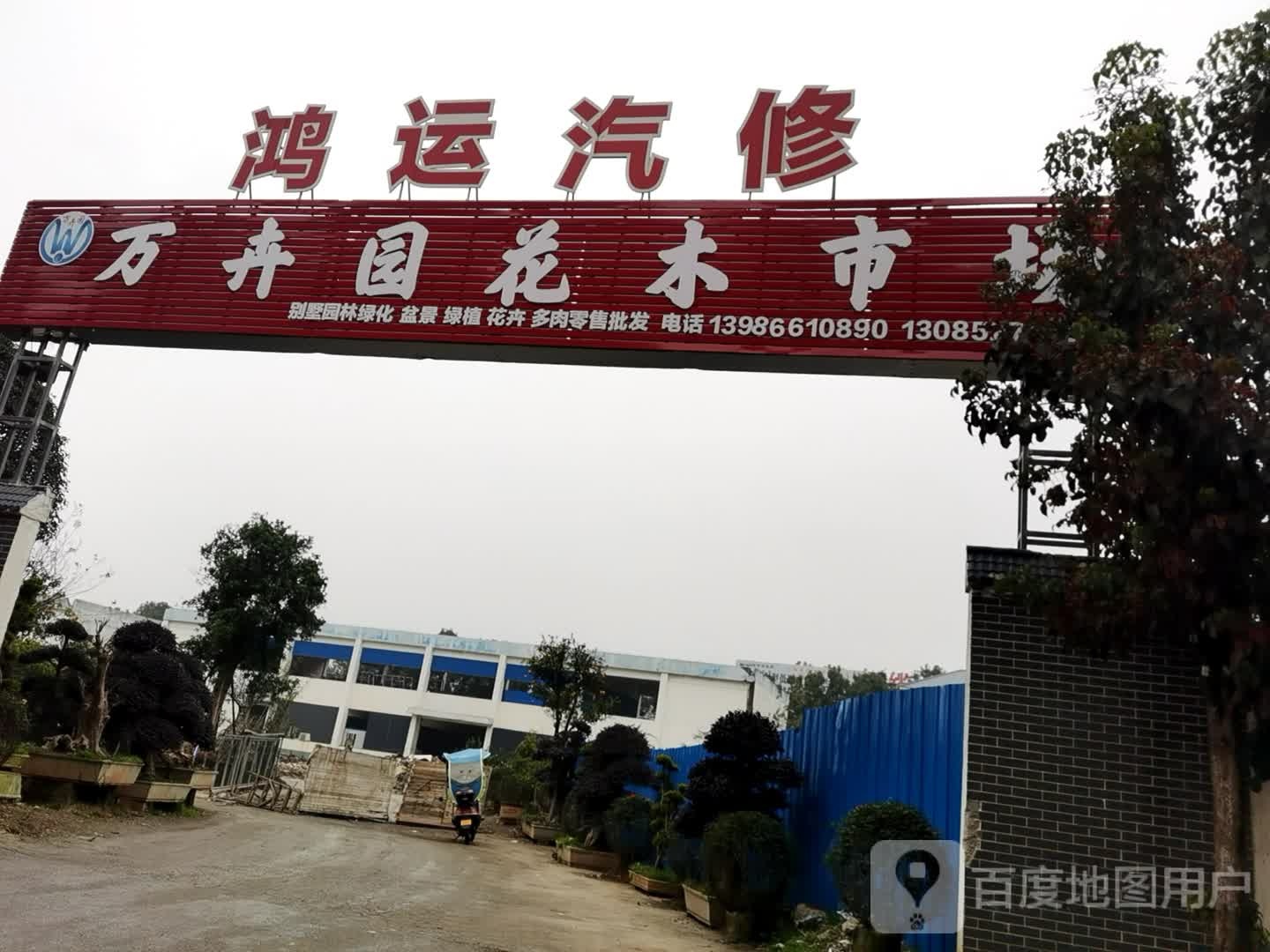 万卉园花木市场