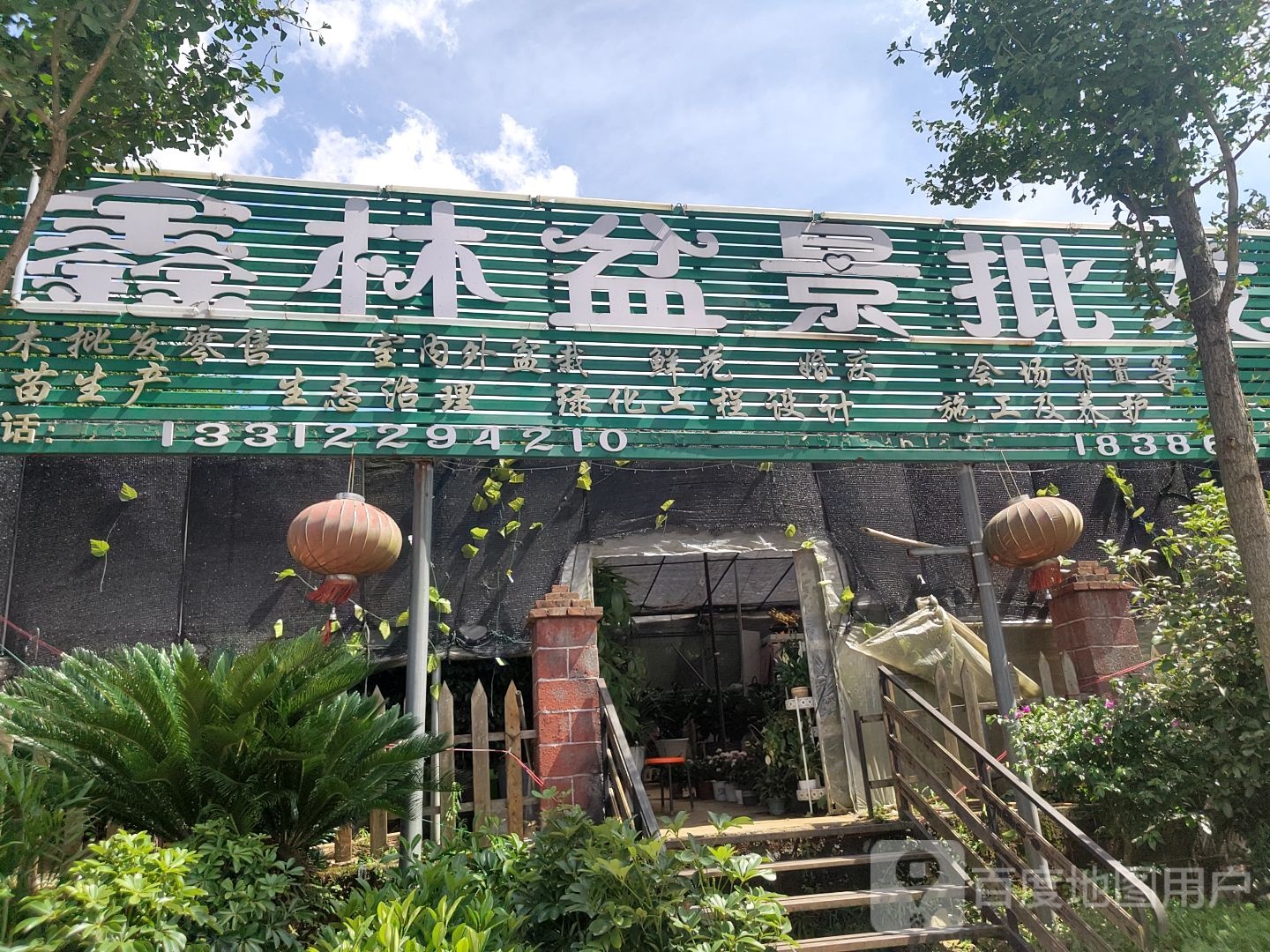 鑫林盆景批发