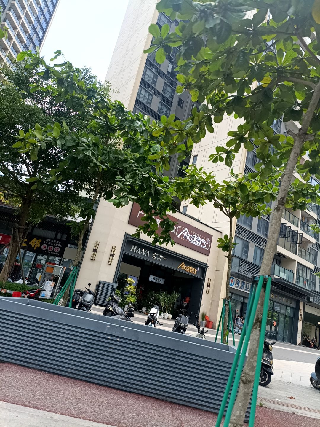 HANA MORE THAN A FLOWER