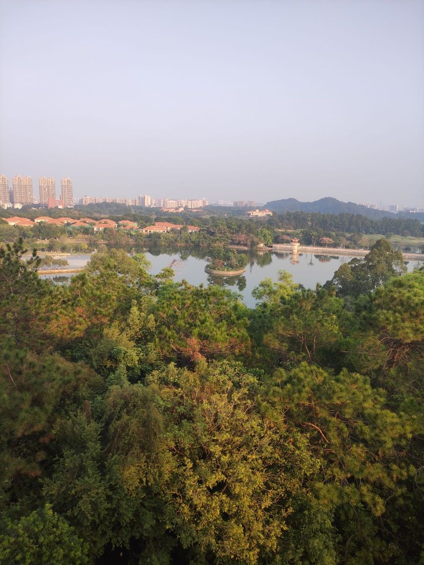 东莞虎英郊野公园-虎石