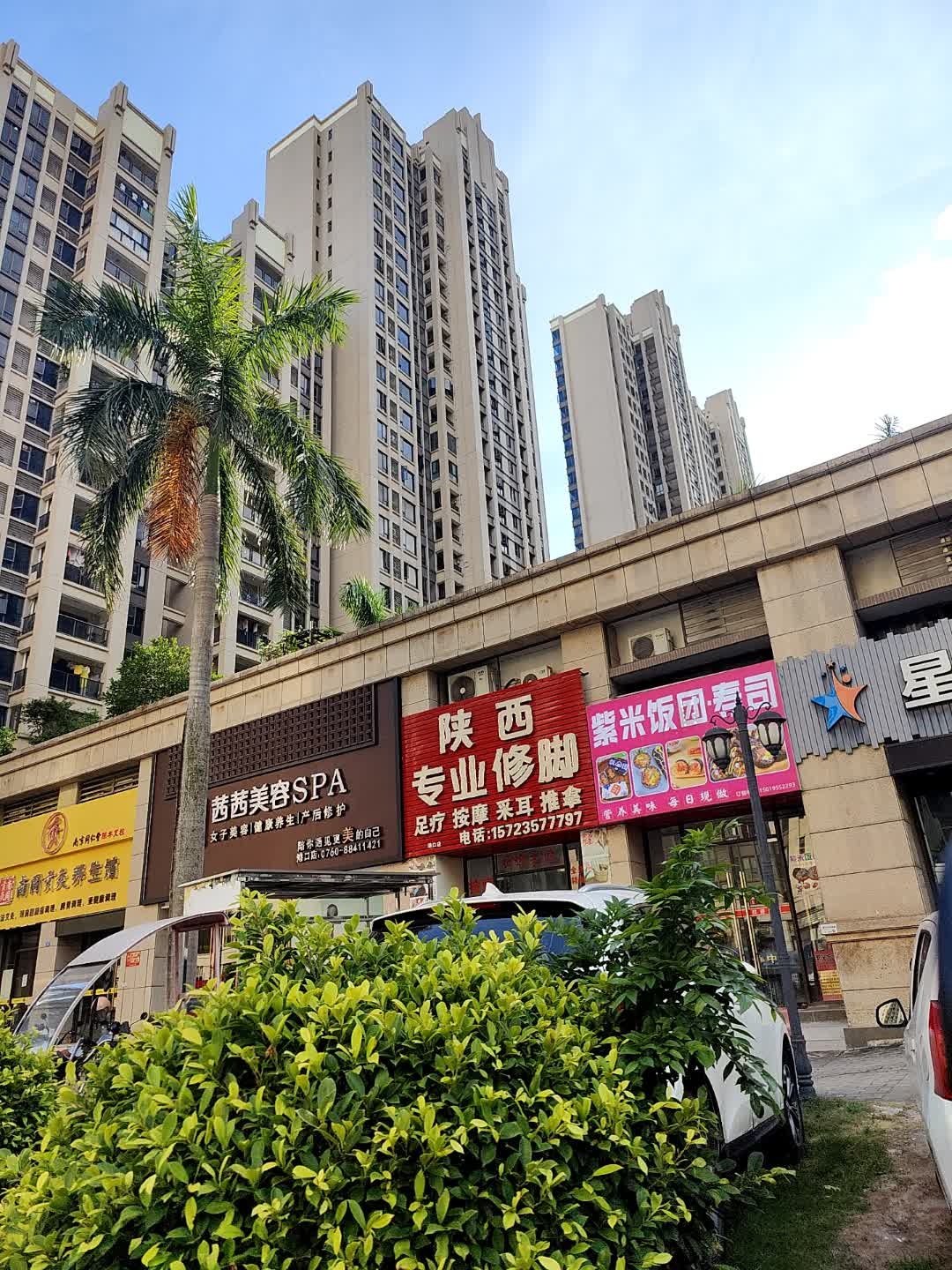 紫米饭团·寿司