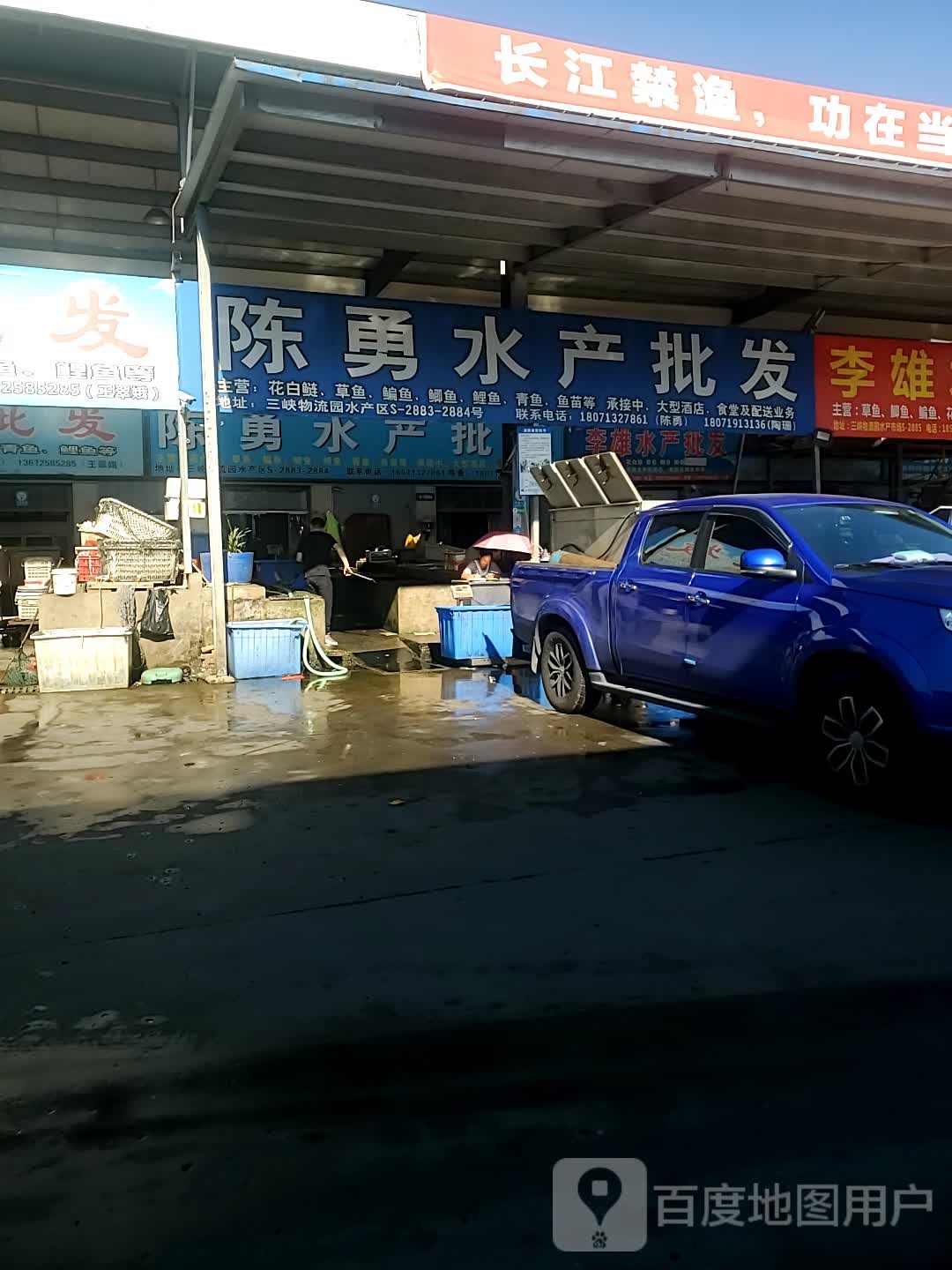 陈勇水产批发