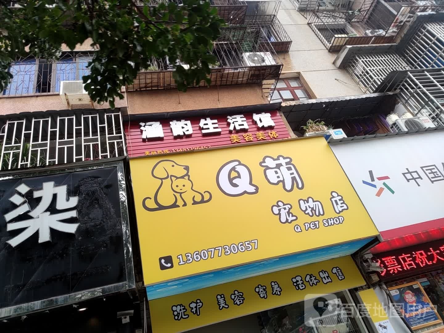 Q萌宠物店