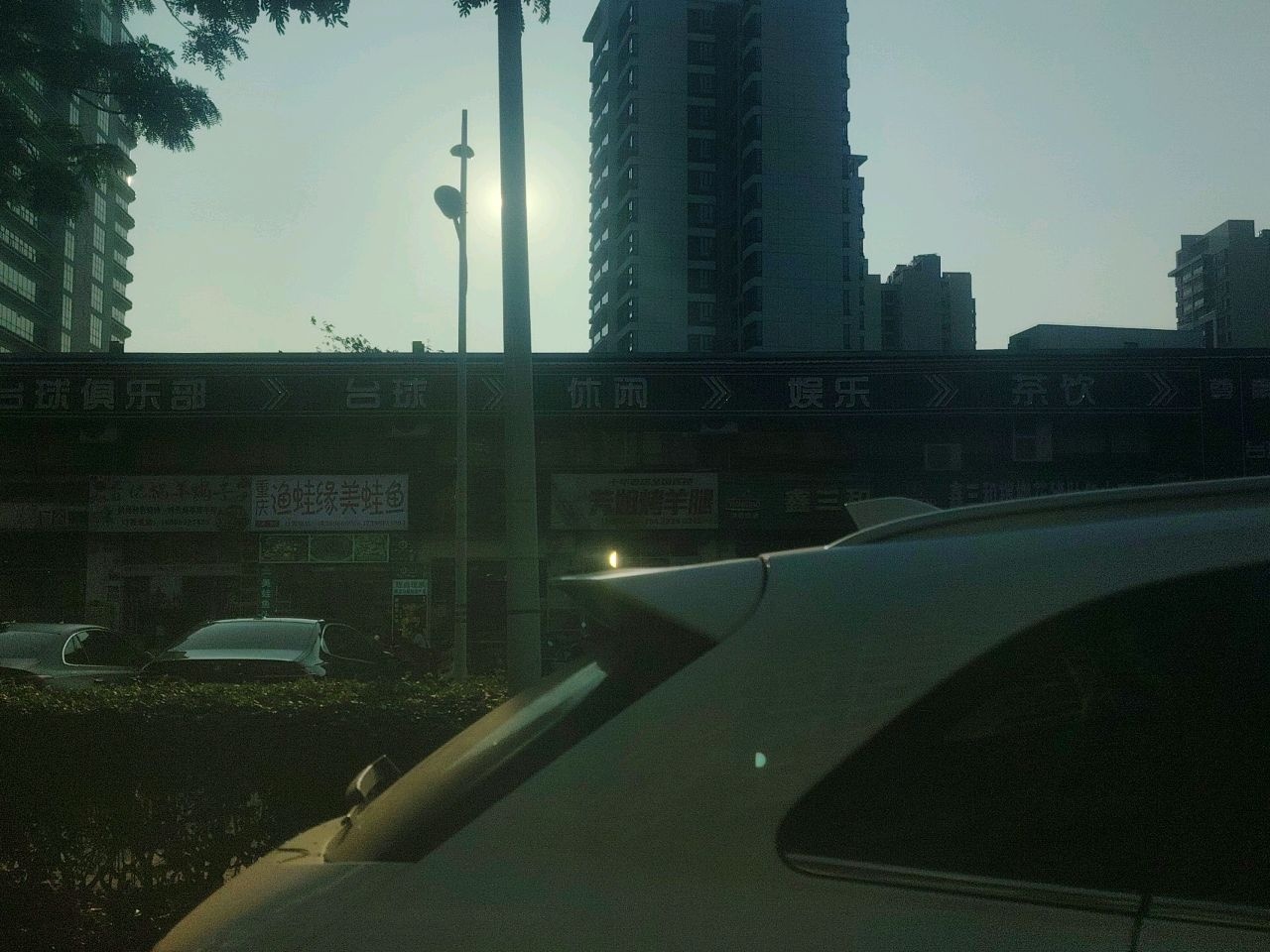 重庆渔蛙缘美蛙鱼(三亚店)