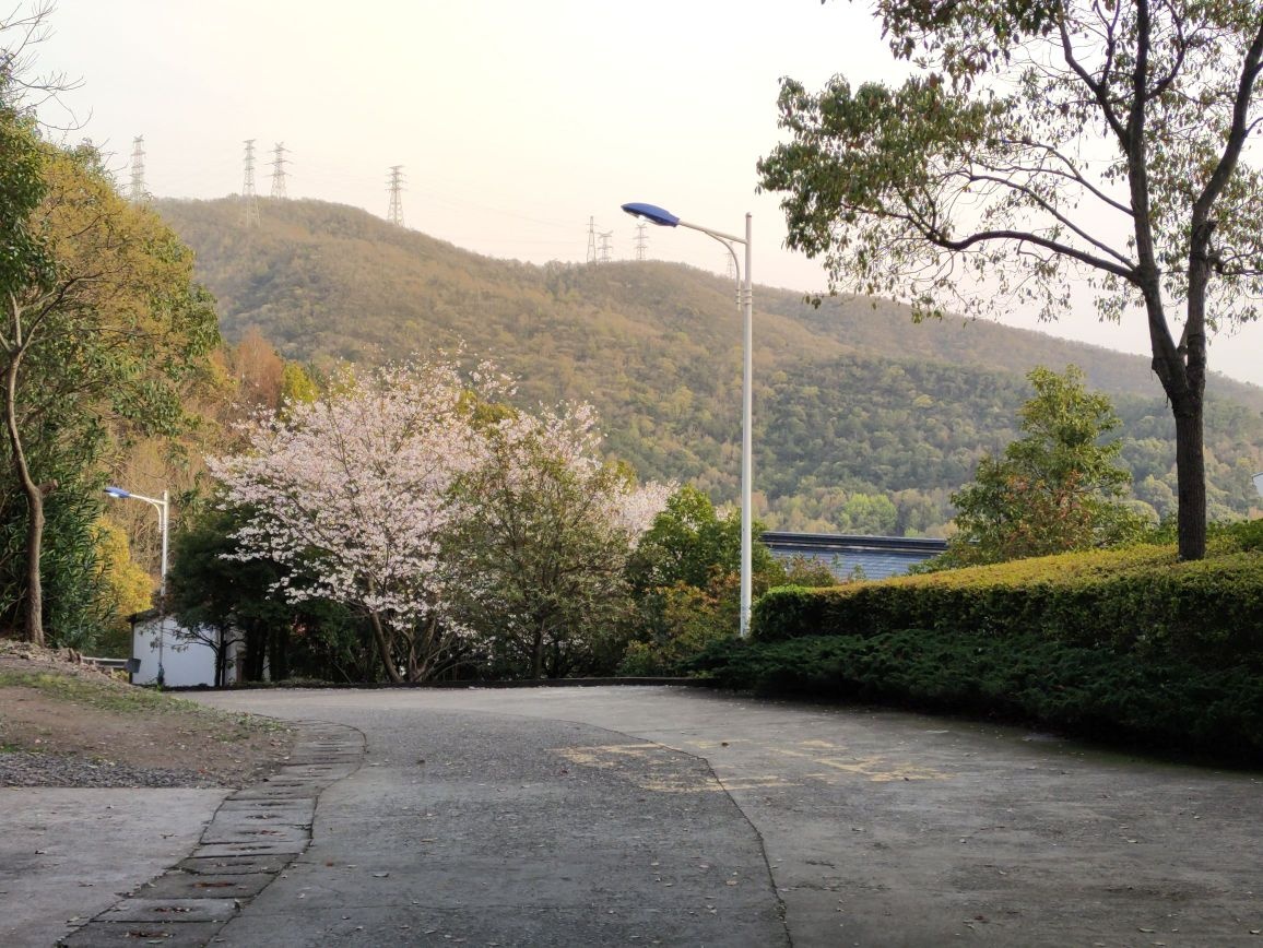 浙江省舟山市秀山乡秀岭山荘别馆
