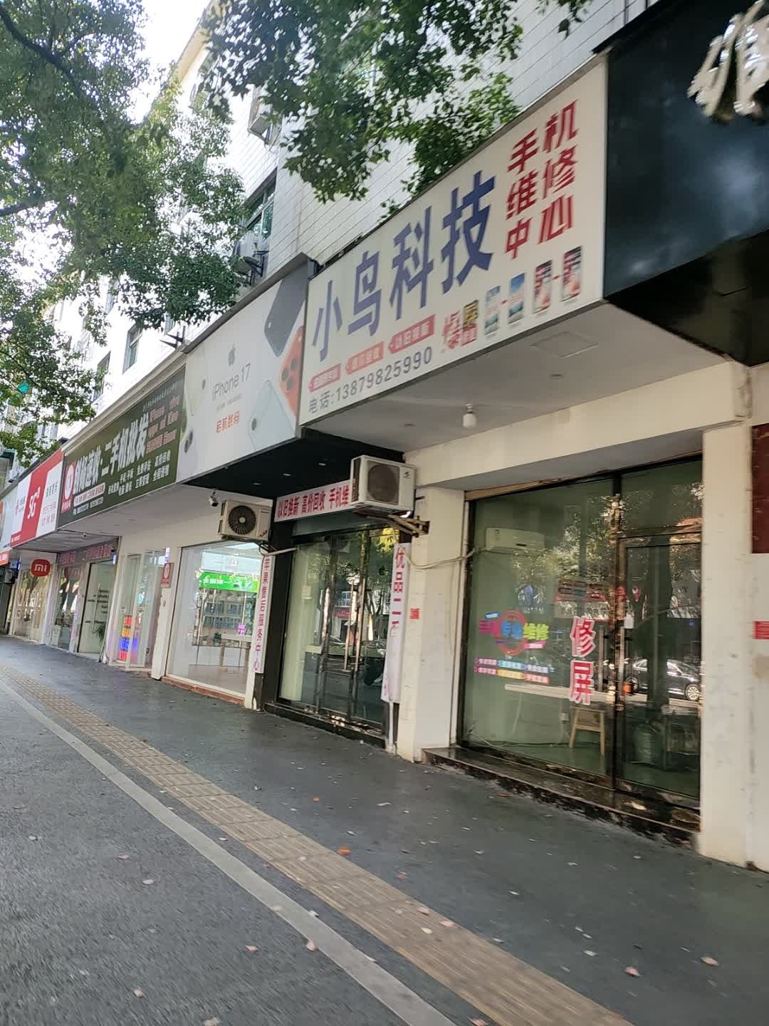 小鸟科技