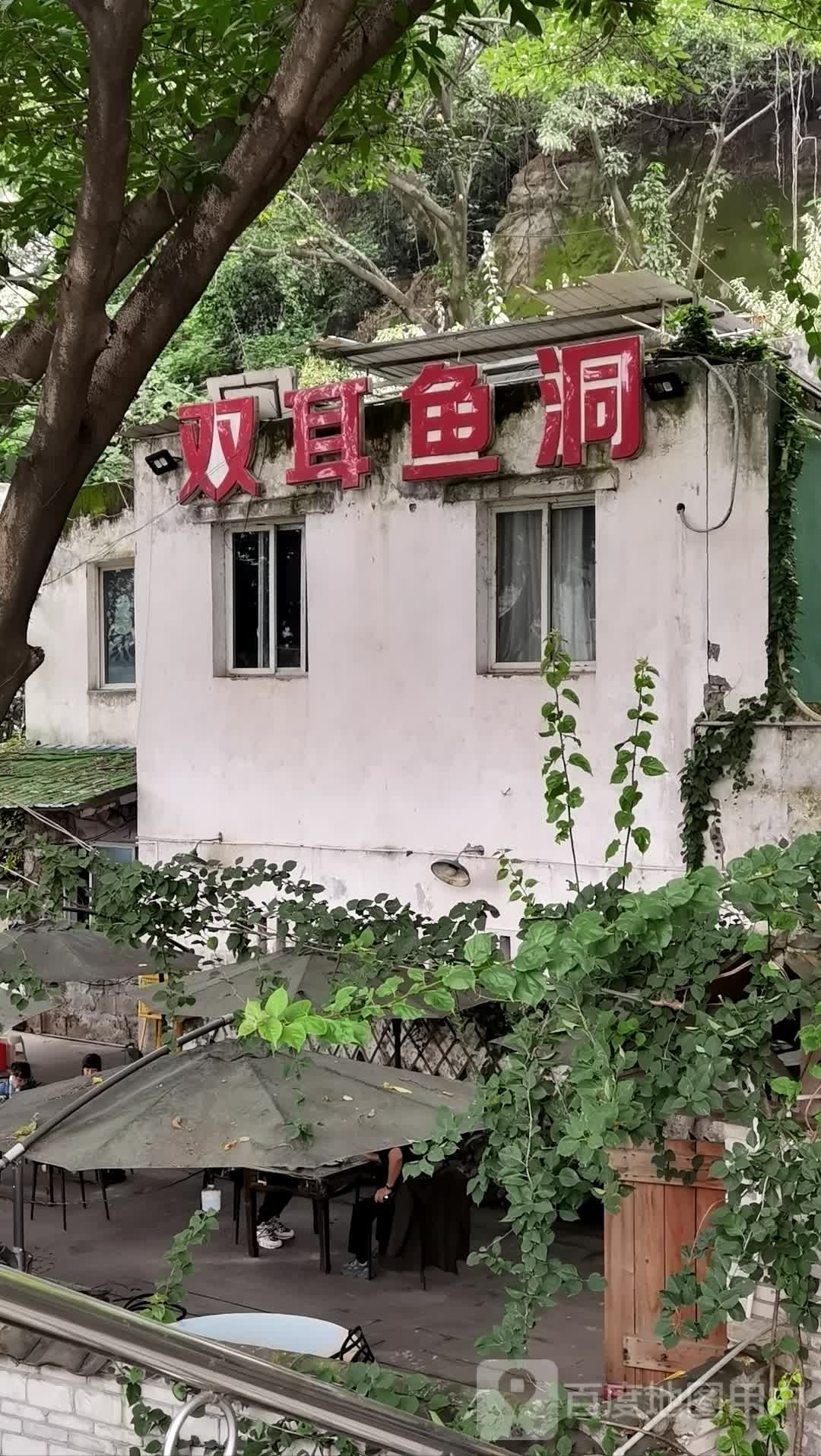 双耳鱼洞