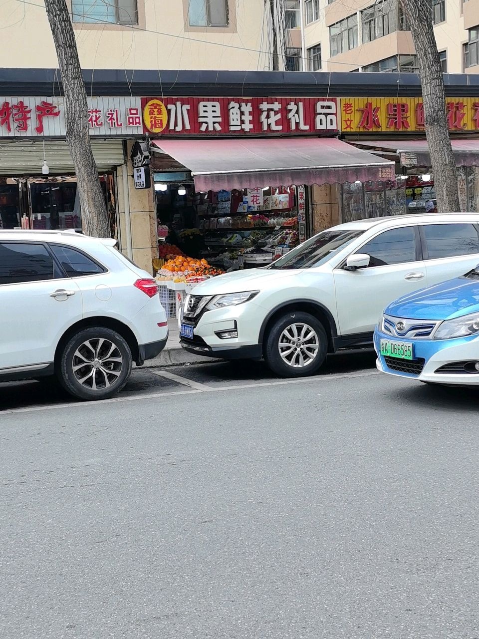 洋洋青藏特产鲜花礼品
