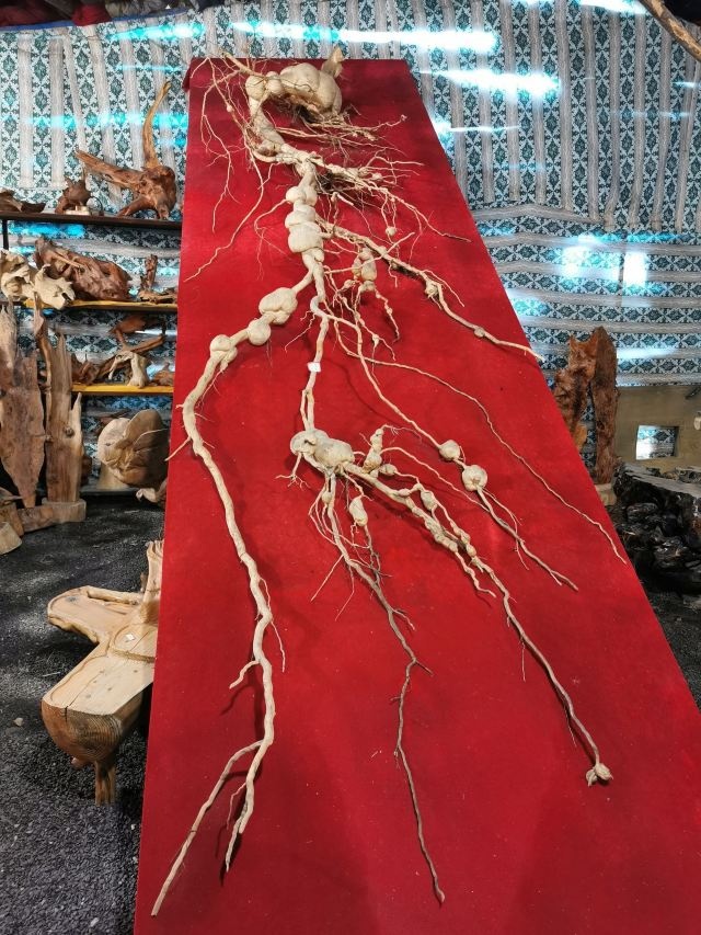 露水河