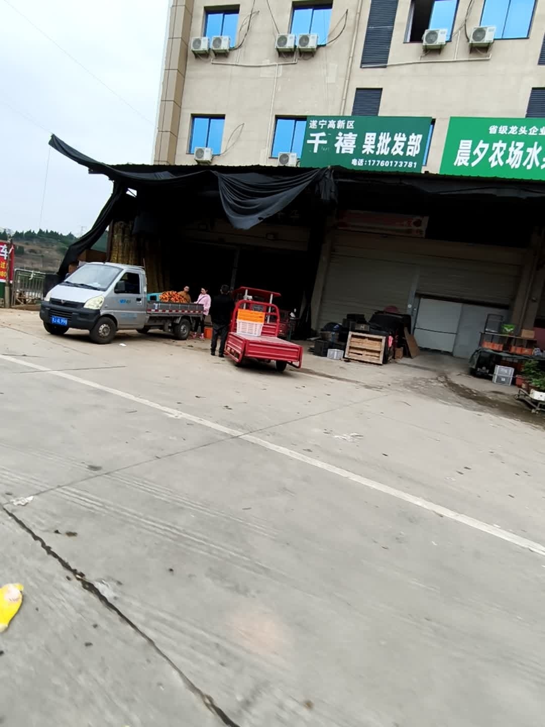 千禧果批发部