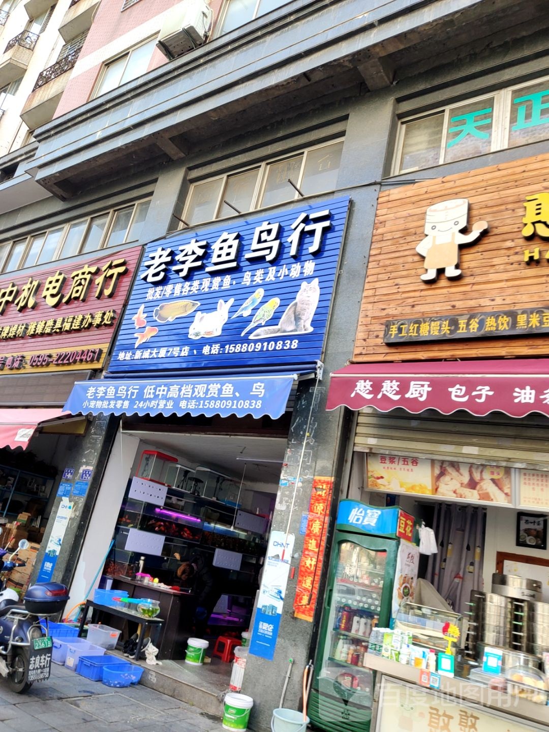 老李鱼鸟行