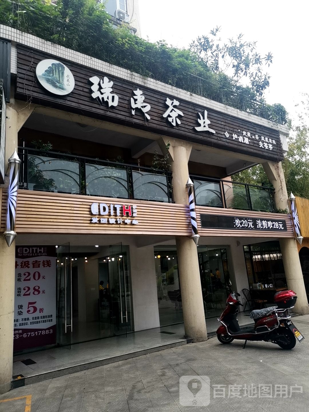 瑞夷山茶