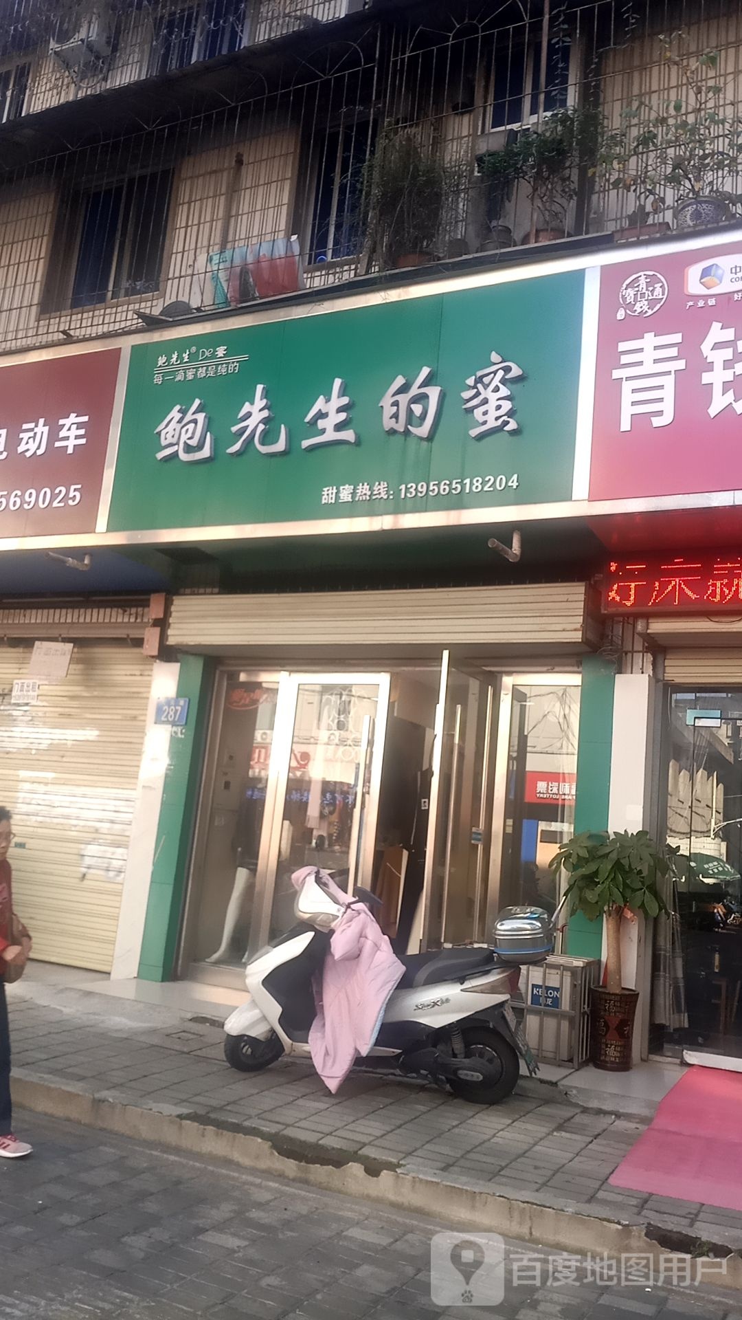 鲍先生的蜜