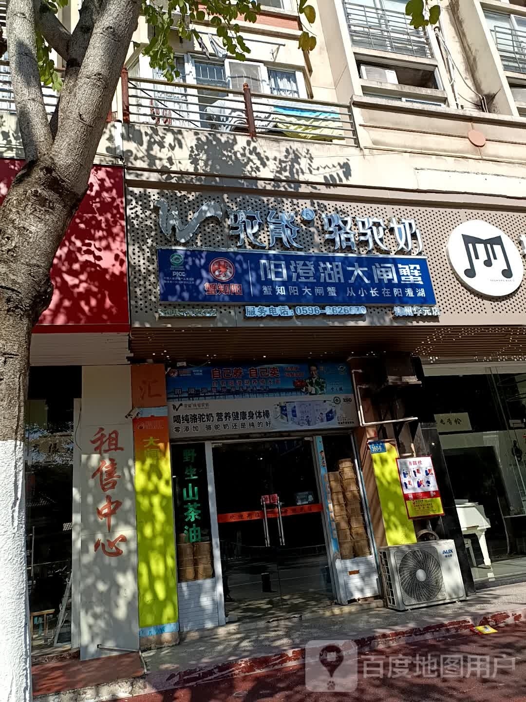 阳澄湖大闸蟹(阳紧知蟹今鳜)
