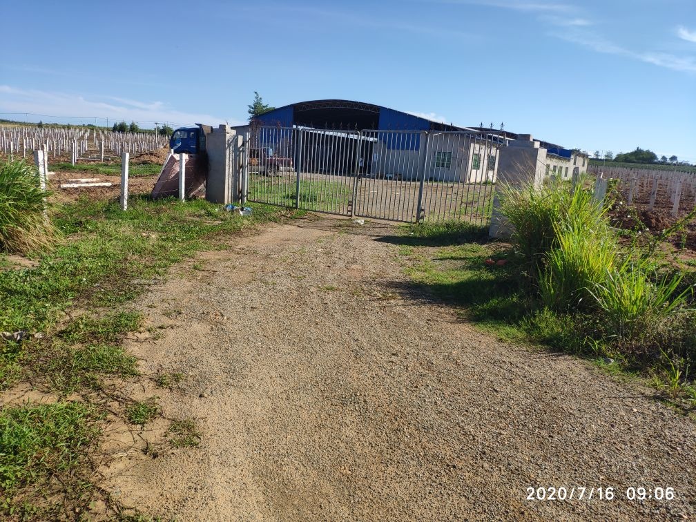 华椰热作果博基地