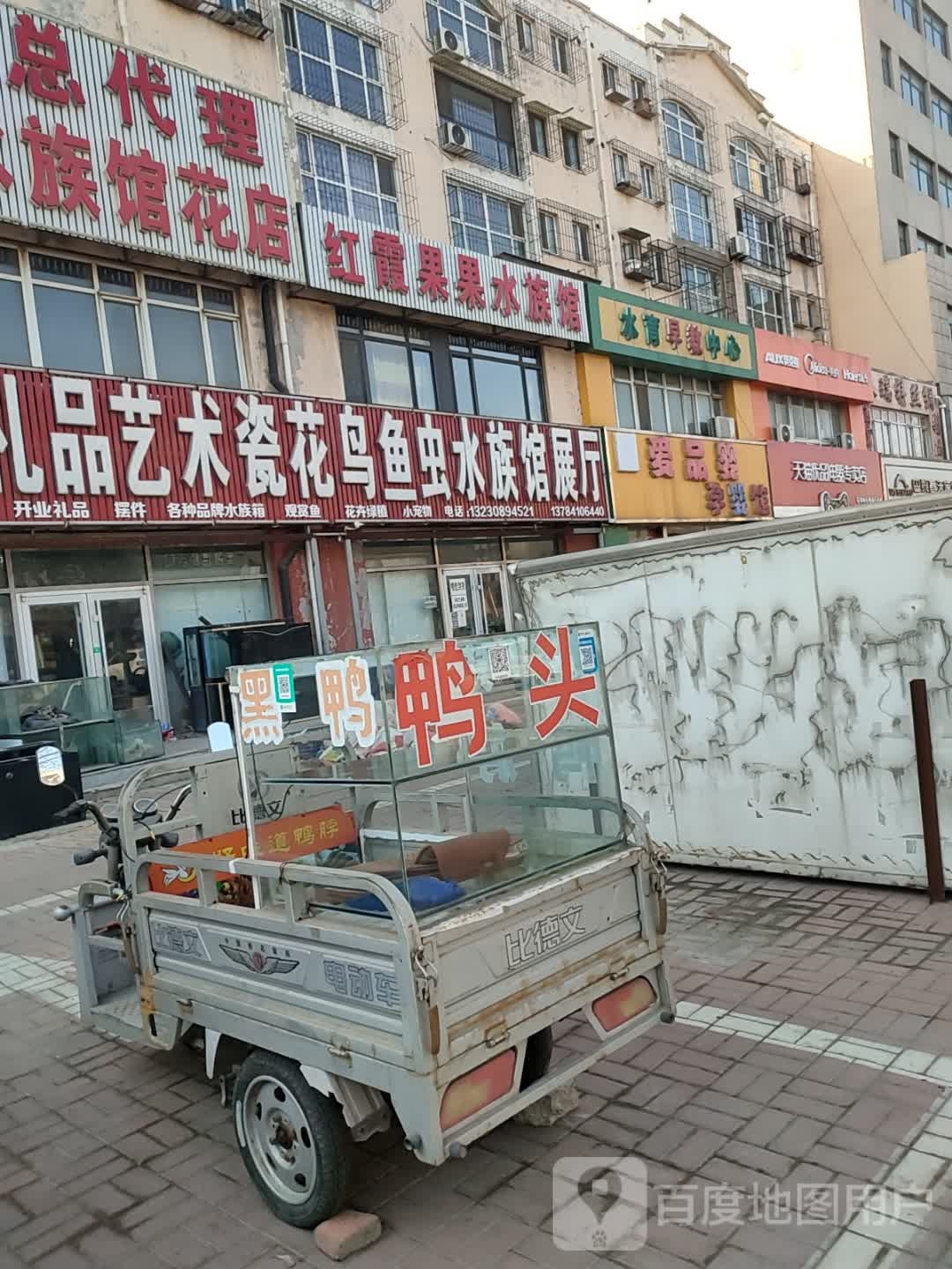 红霞果果水族馆